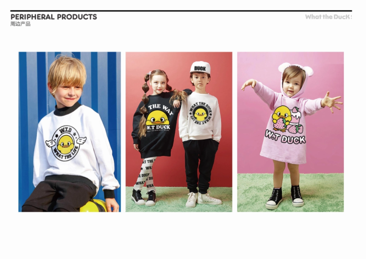 W.T.DUCK什么鸭品牌策划_第8页