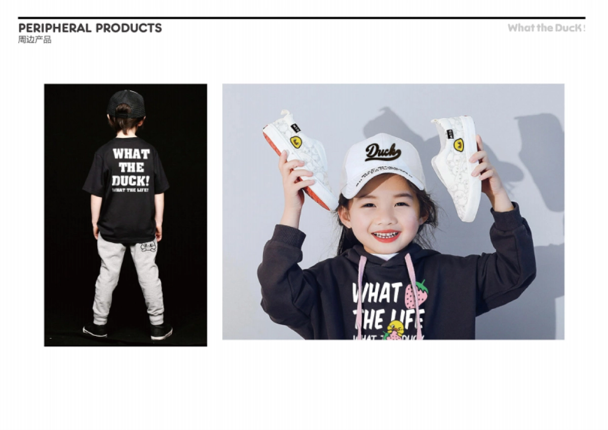 W.T.DUCK什么鸭品牌策划_第9页