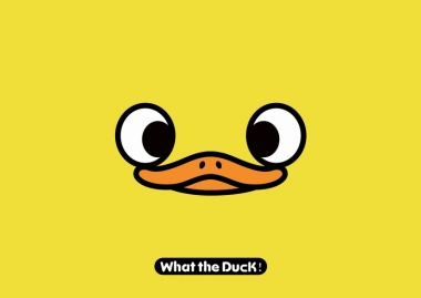 W.T.DUCK什么鸭品牌策划
