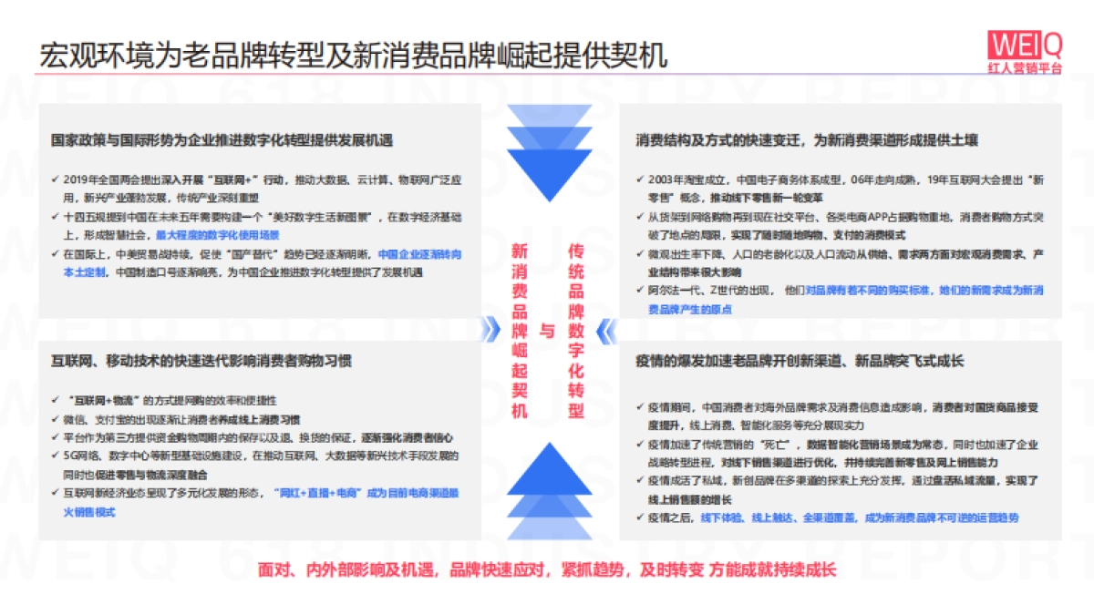 WEIQ新消费品牌发展报告_第5页