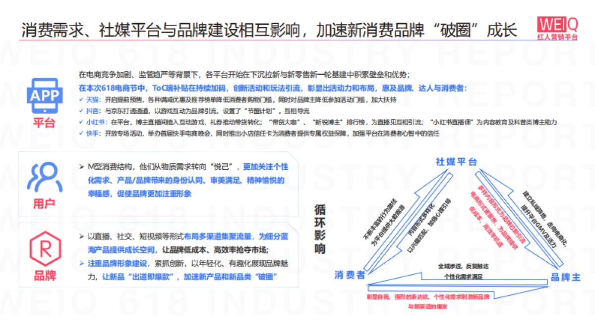 WEIQ新消费品牌发展报告_第8页