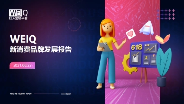 WEIQ新消费品牌发展报告