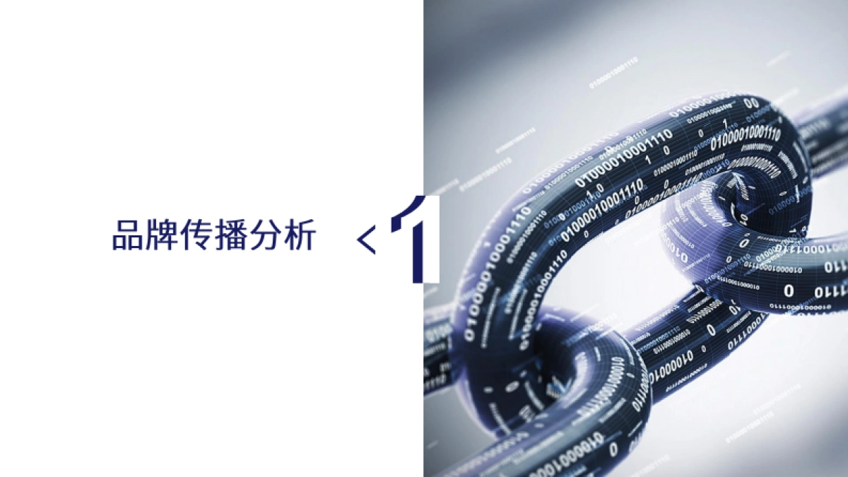 半亩花田黑马品牌传播策略分析_第4页