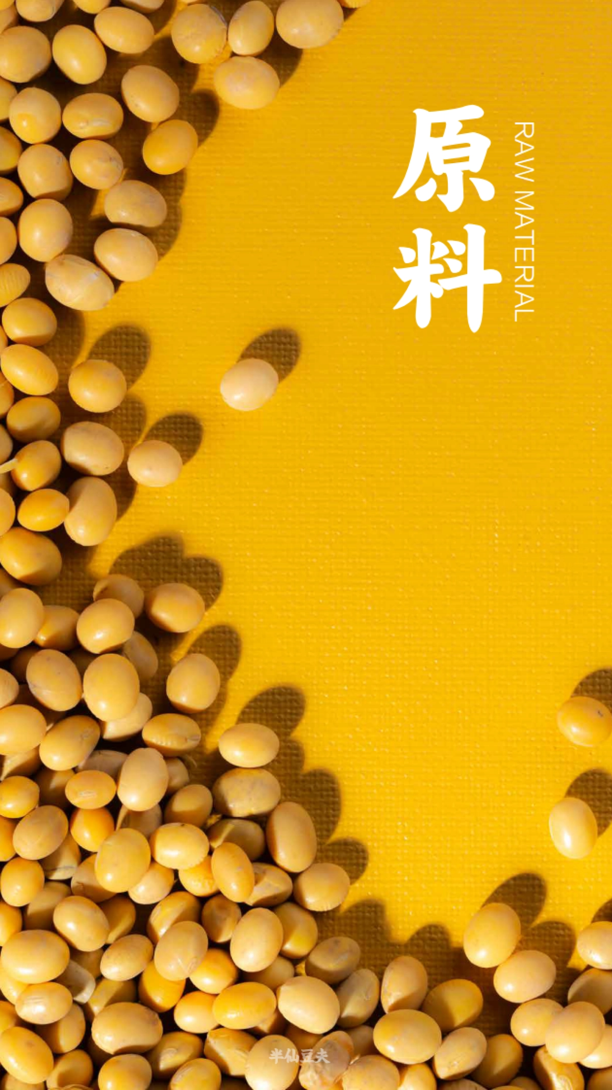 半仙豆夫品牌手册_第10页