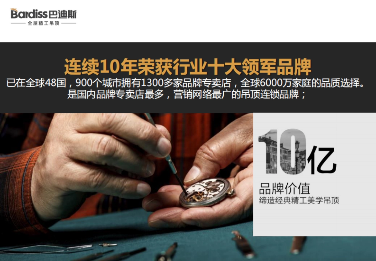 材行业巴迪斯品牌优势_第10页