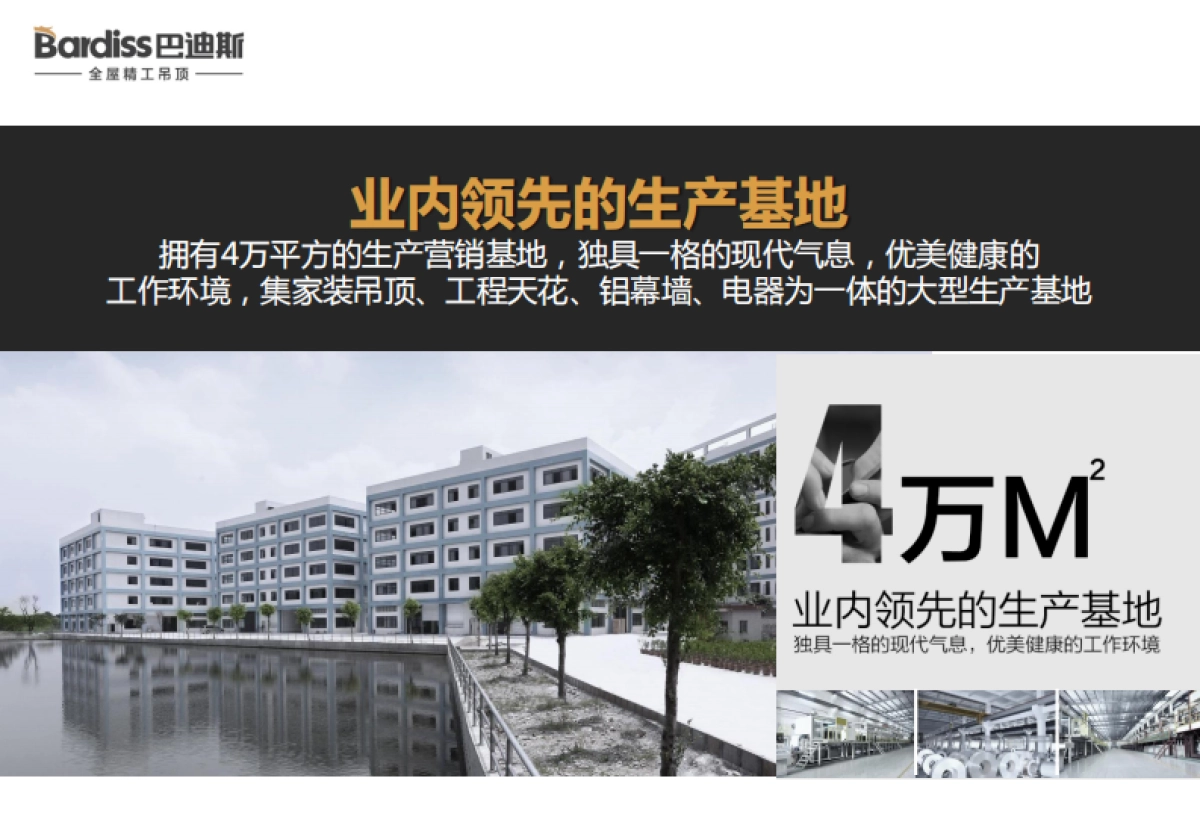 材行业巴迪斯品牌优势_第8页