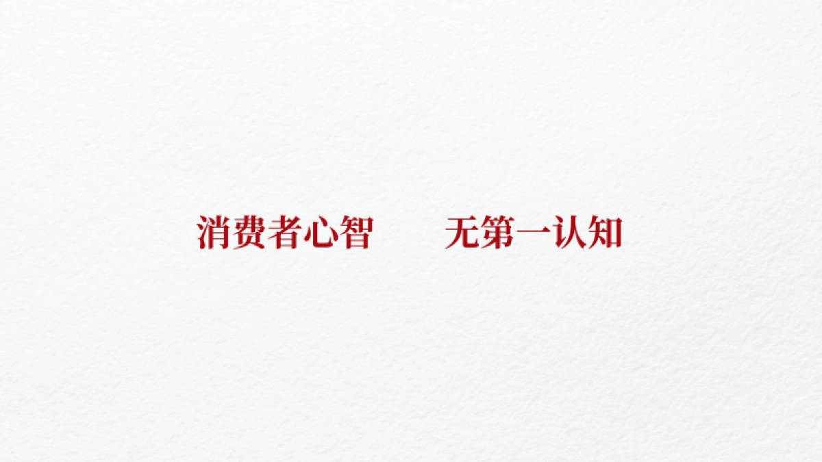 从产品卖点看品牌整合营销_第10页