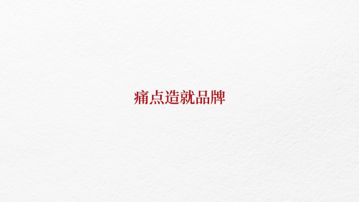 从产品卖点看品牌整合营销_第2页