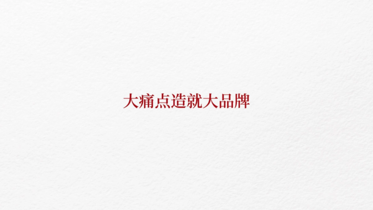 从产品卖点看品牌整合营销_第3页