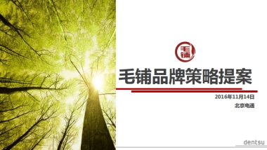 电通-毛铺品牌策略提案