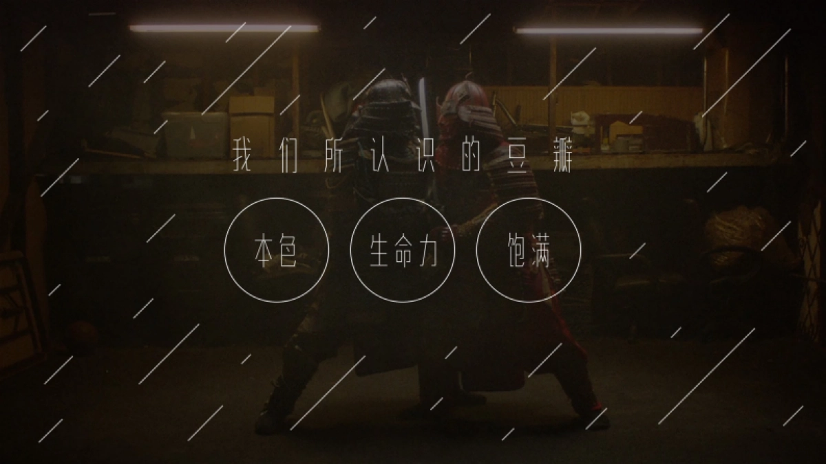 豆瓣十周年品牌策略创意提案_第3页