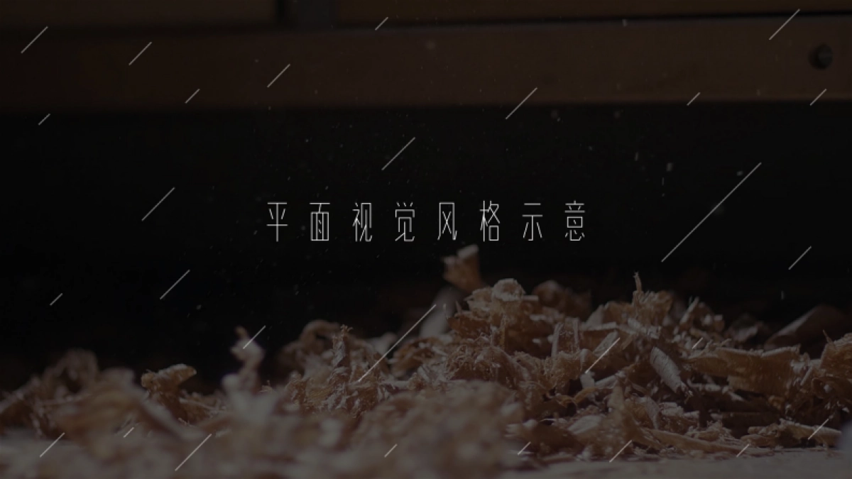 豆瓣十周年品牌策略创意提案_第8页