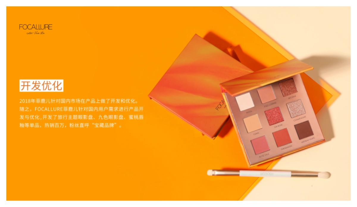 菲鹿儿眼影品牌介绍_第10页