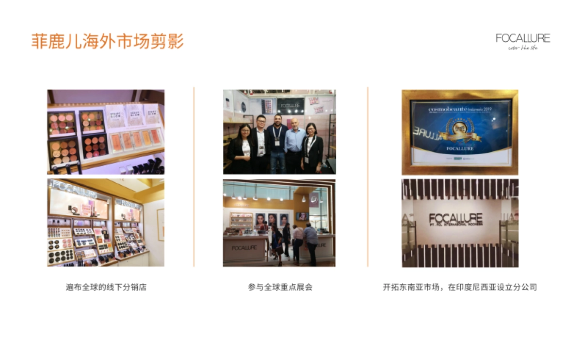 菲鹿儿眼影品牌介绍_第4页