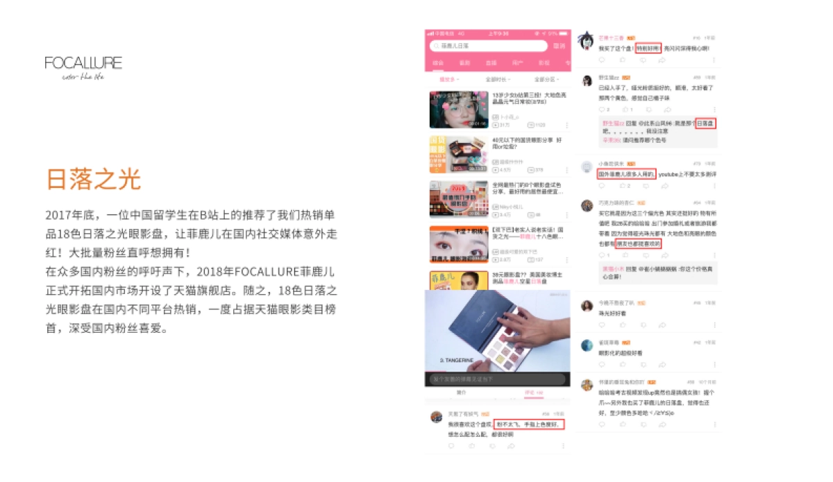 菲鹿儿眼影品牌介绍_第8页