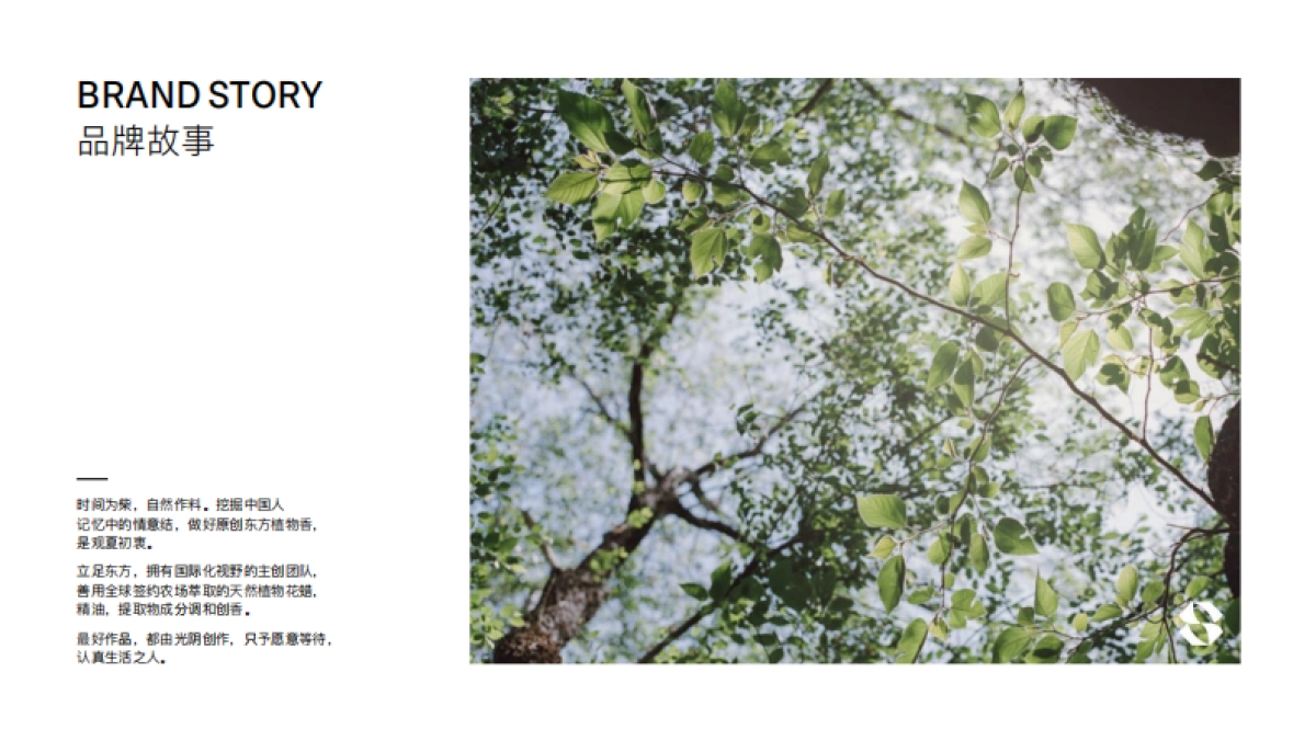 观夏东方植物调品牌手册_第2页