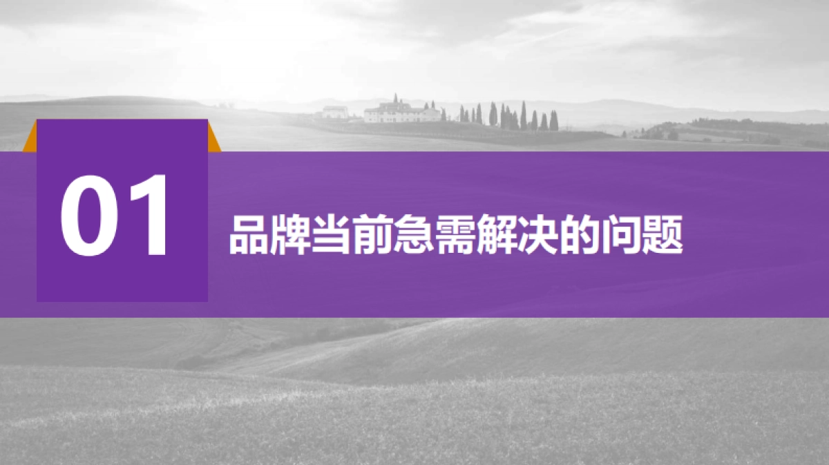 恒大农牧品牌2018年度品牌策划案20170925_第2页
