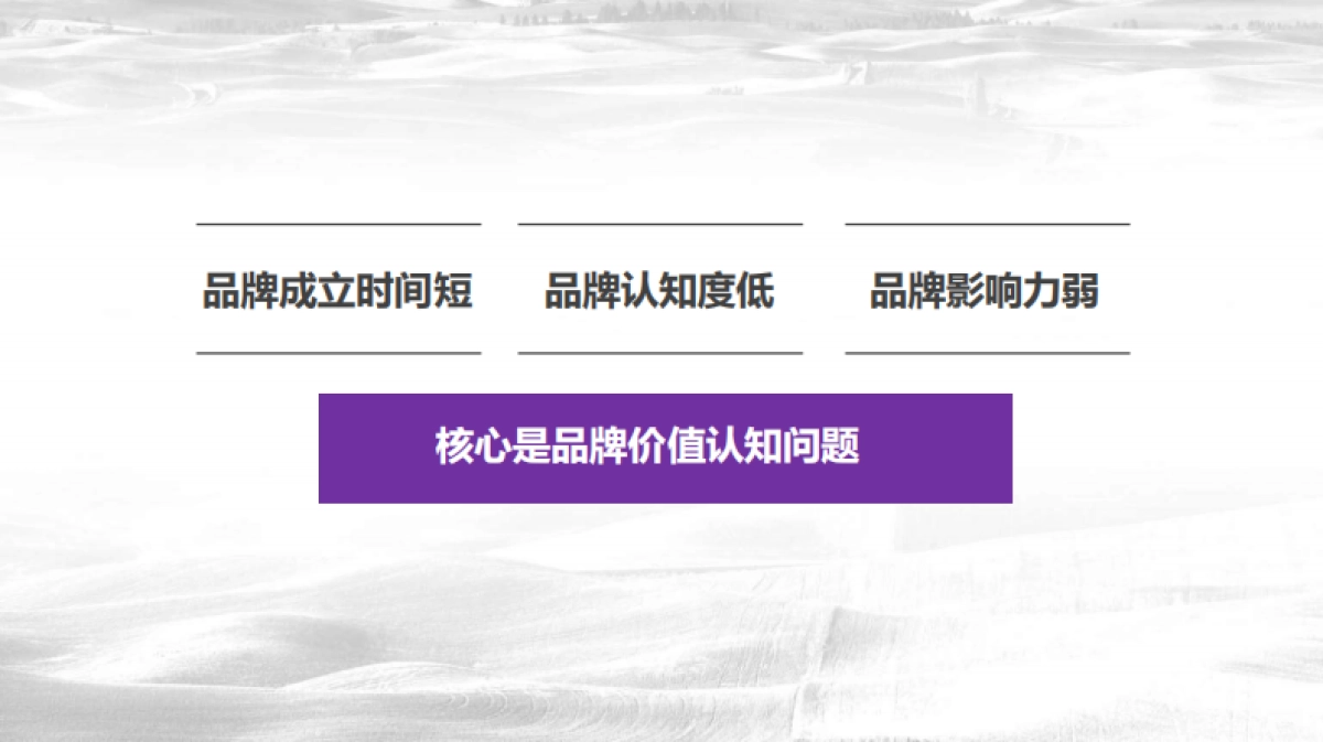 恒大农牧品牌2018年度品牌策划案20170925_第3页