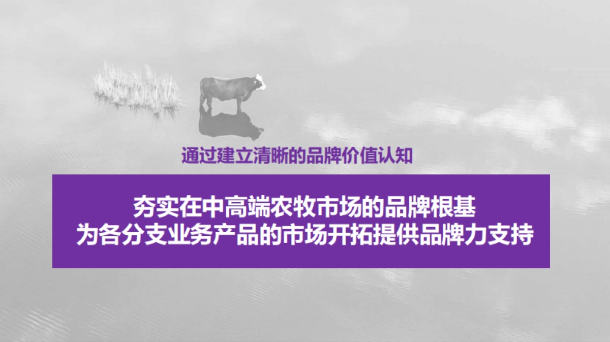 恒大农牧品牌2018年度品牌策划案20170925_第4页