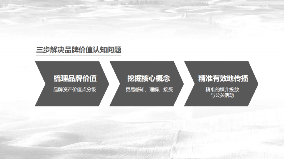 恒大农牧品牌2018年度品牌策划案20170925_第5页