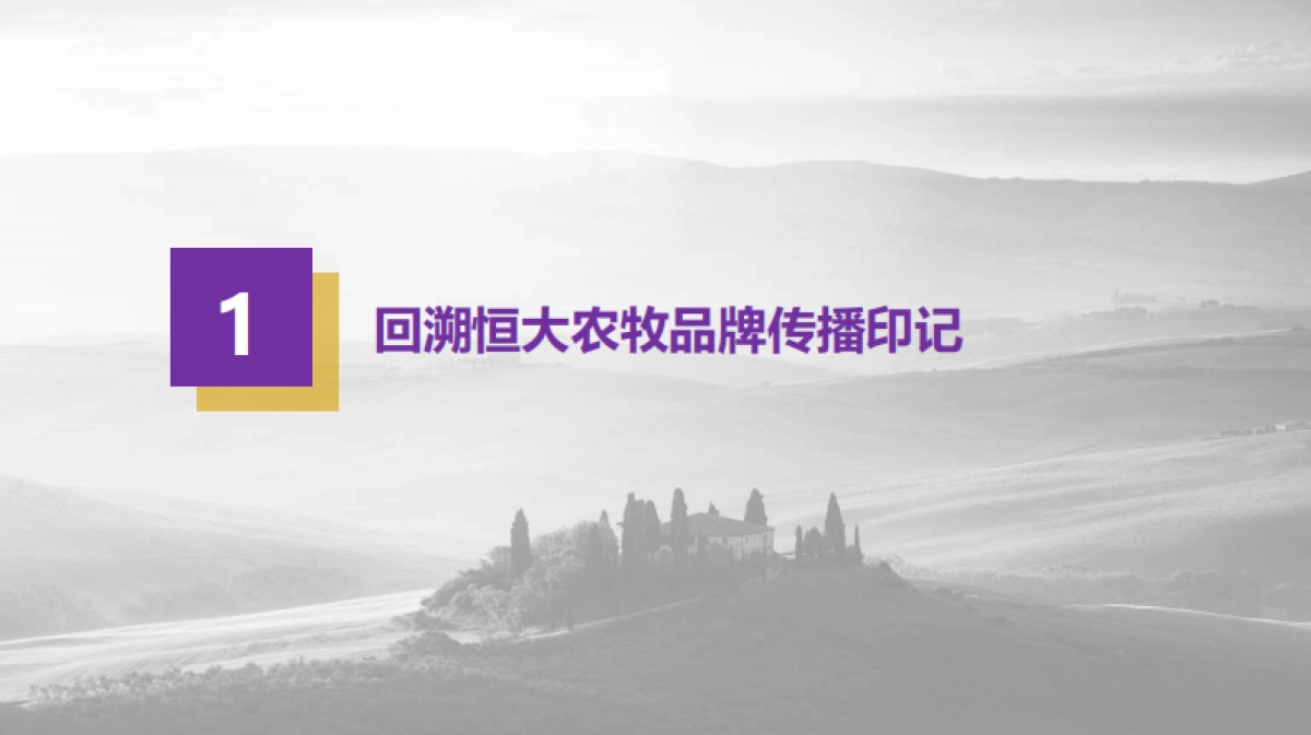 恒大农牧品牌2018年度品牌策划案20170925_第7页