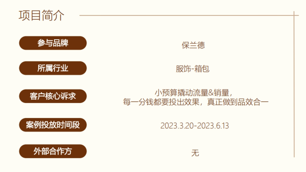 红书-Redcase 保兰德小众品牌与小众人群赛道的“取巧”打法_第2页