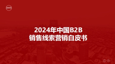 SalesDriver：2024年中国B2B销售线索营销白皮书