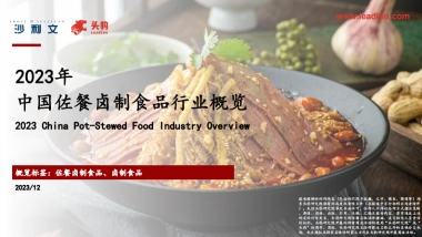 沙利文：2023年中国佐餐卤制食品行业概览报告