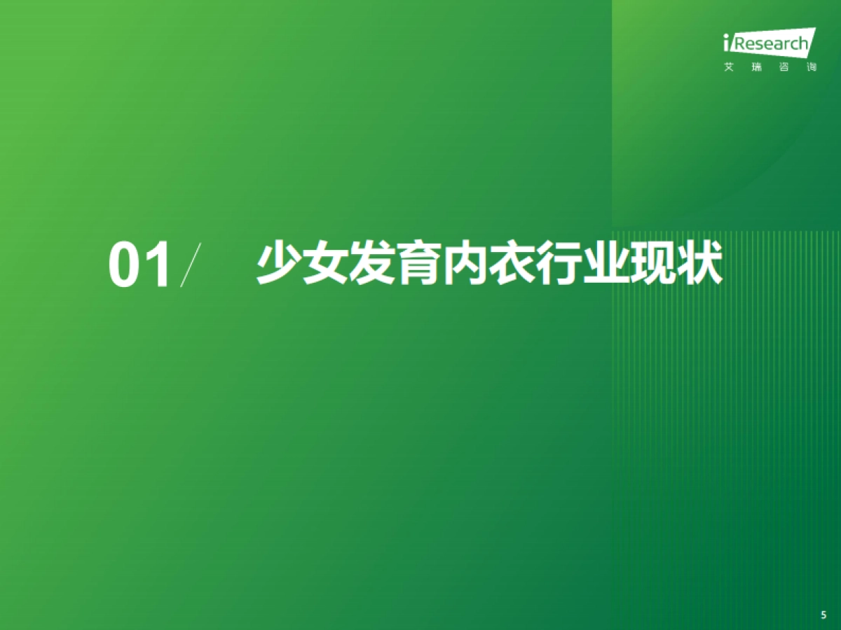 2023年中国少女发育内衣行业发展白皮书_第5页