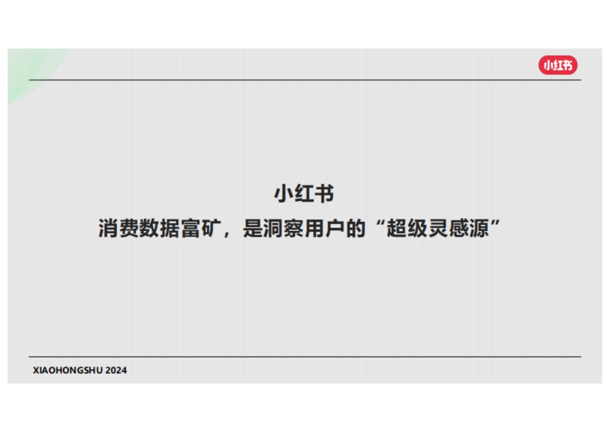 2024小红书×合生元年度私享会：灵犀产品介绍及建议_第4页