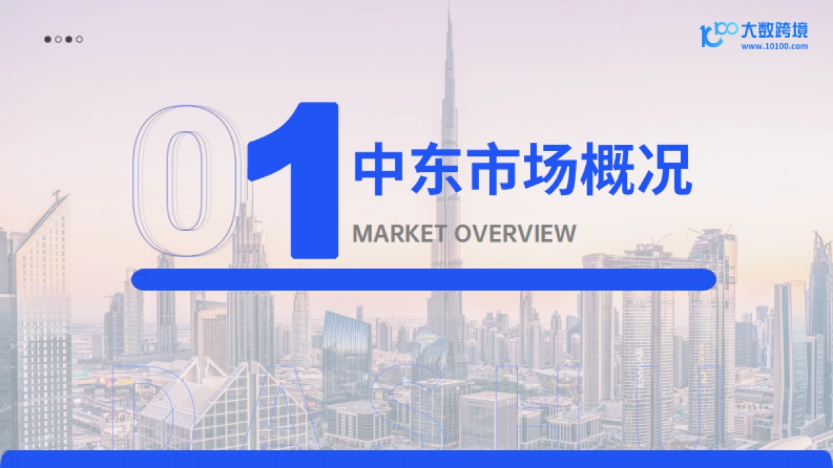 2024中东电商市场洞察报告-大数跨境_第4页