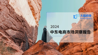 2024中东电商市场洞察报告-大数跨境
