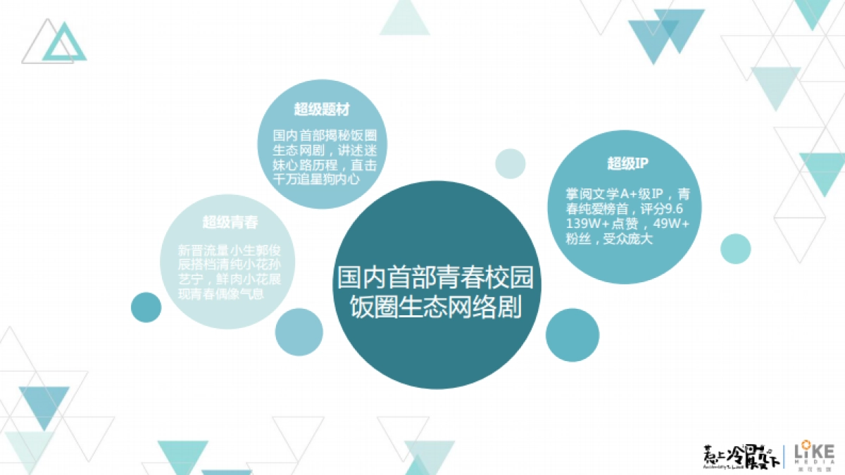 惹上冷殿下BD合作案_第5页