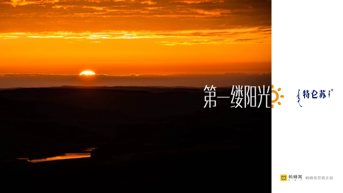 特仑苏x蚂蜂窝_第1页