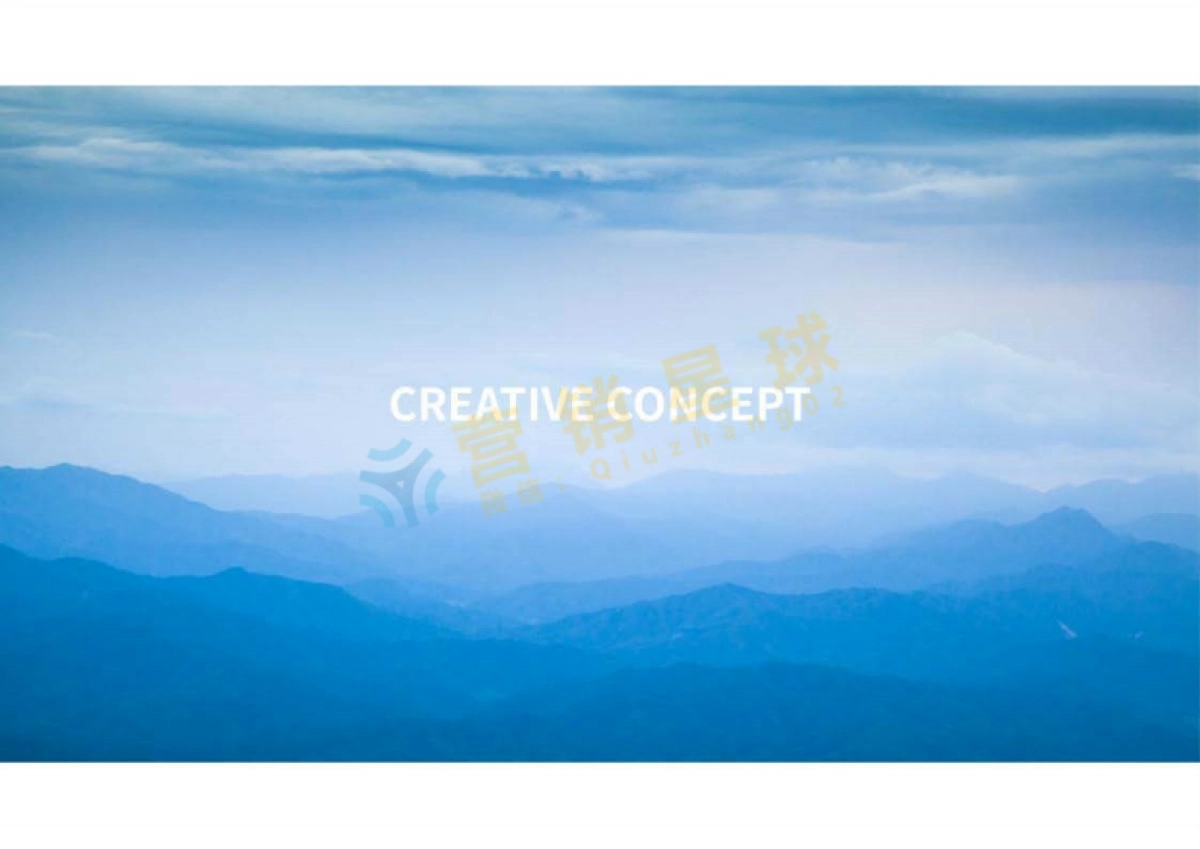 蔚来新能源汽车合作伙伴大会策划方案_第4页