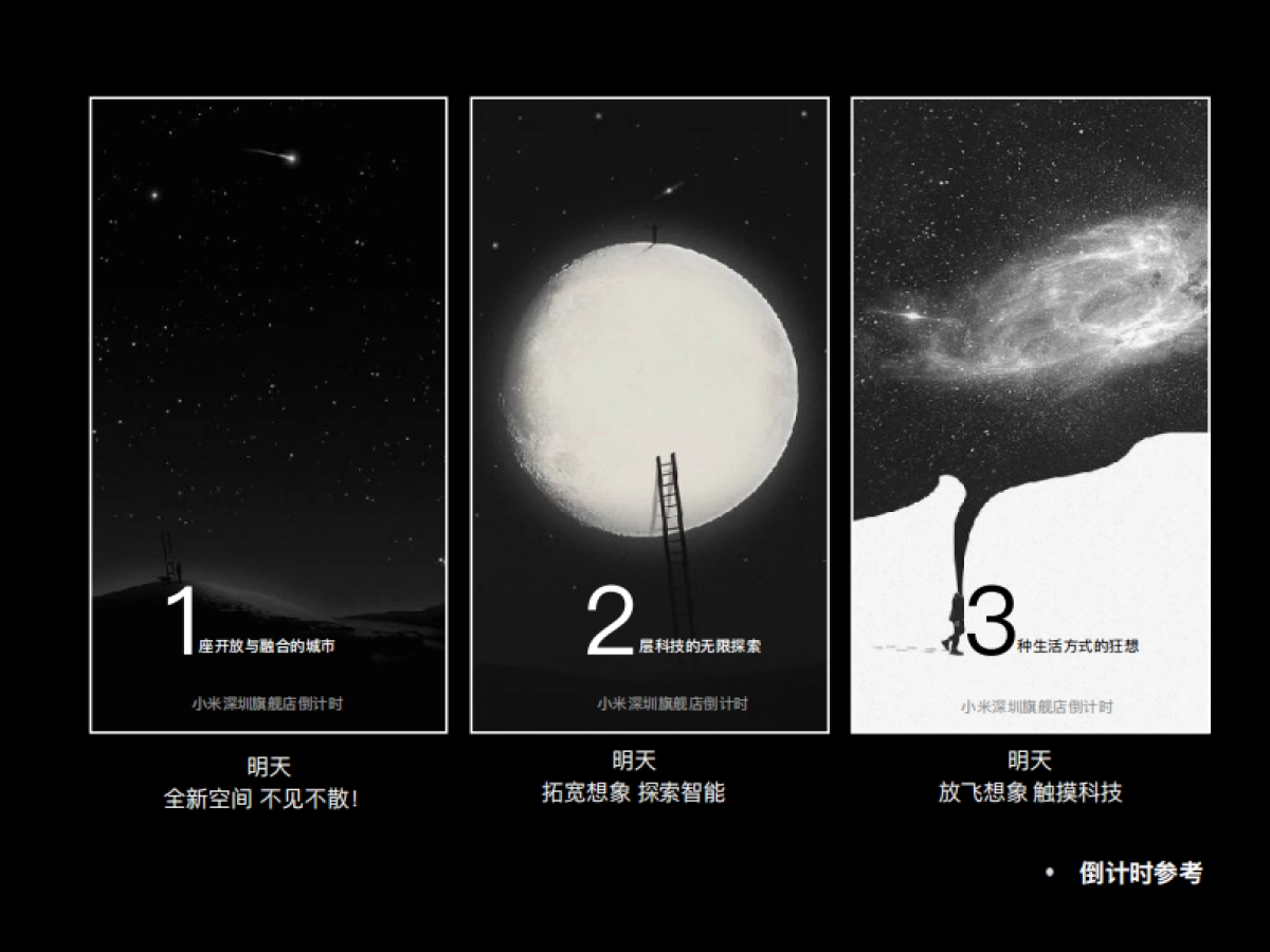 小米深圳旗舰店开业方案_第9页