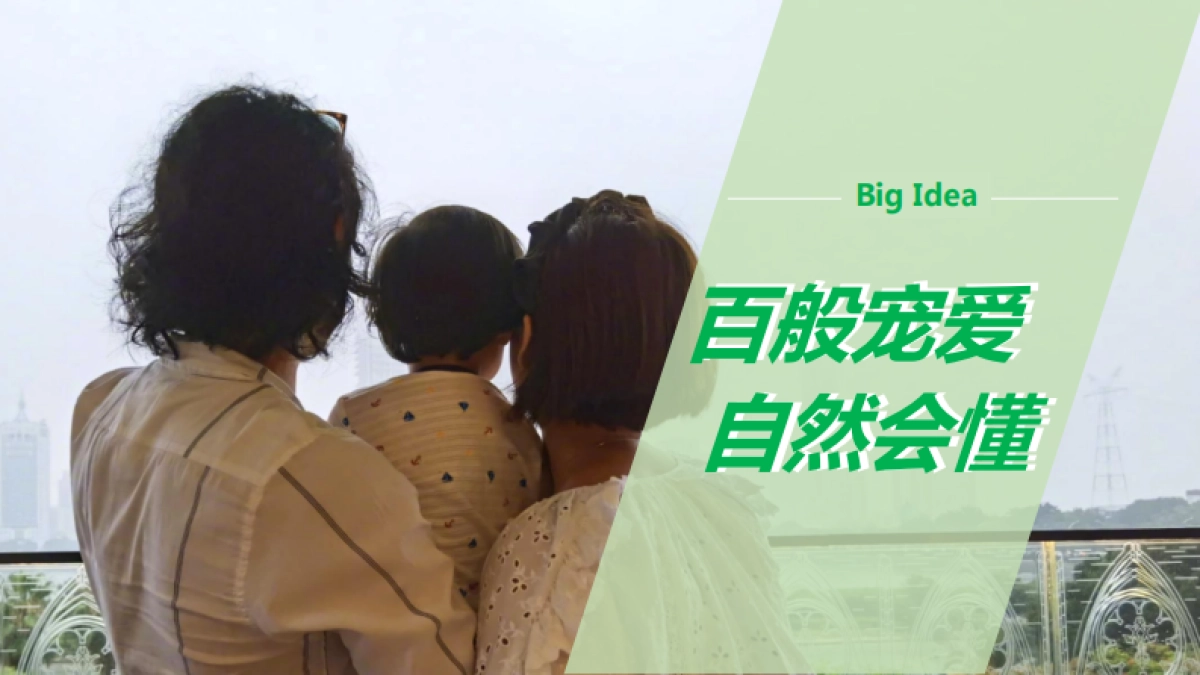 雅培菁挚X袁弘D11百亿补贴方案_第5页