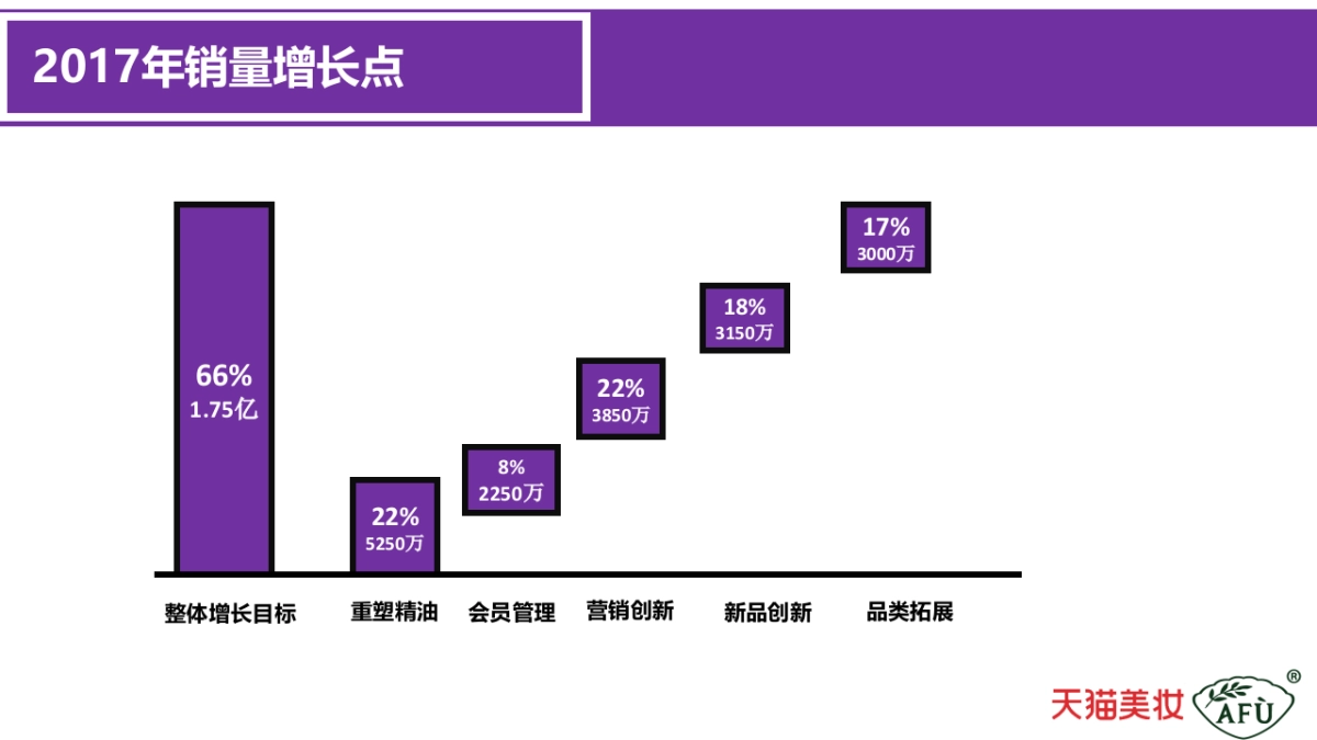 2017天猫美妆-AFU 2017联合生意计划_第10页
