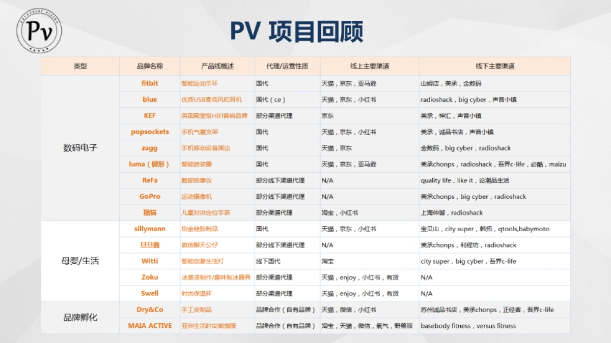 Blue2019_2020年天猫运营投标方案_第9页