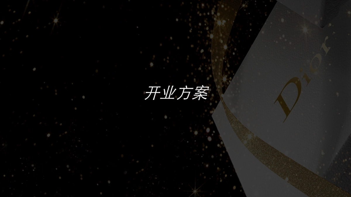 Dior官方旗舰店整合营销方案创意部分_第2页