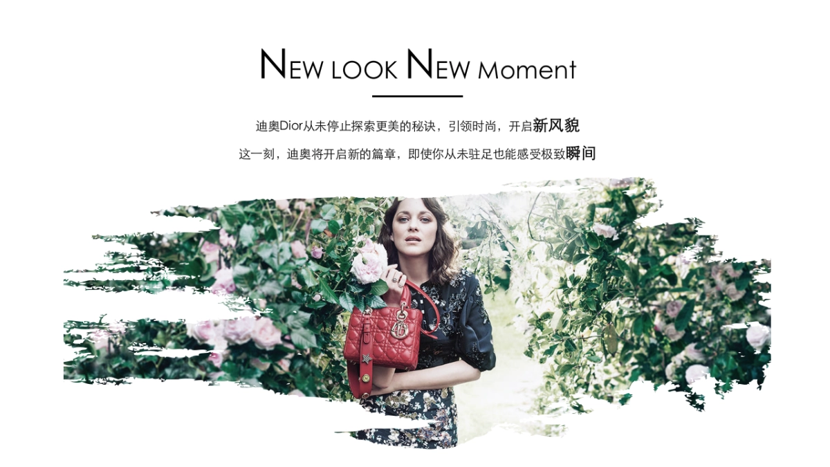 Dior官方旗舰店整合营销方案创意部分_第4页