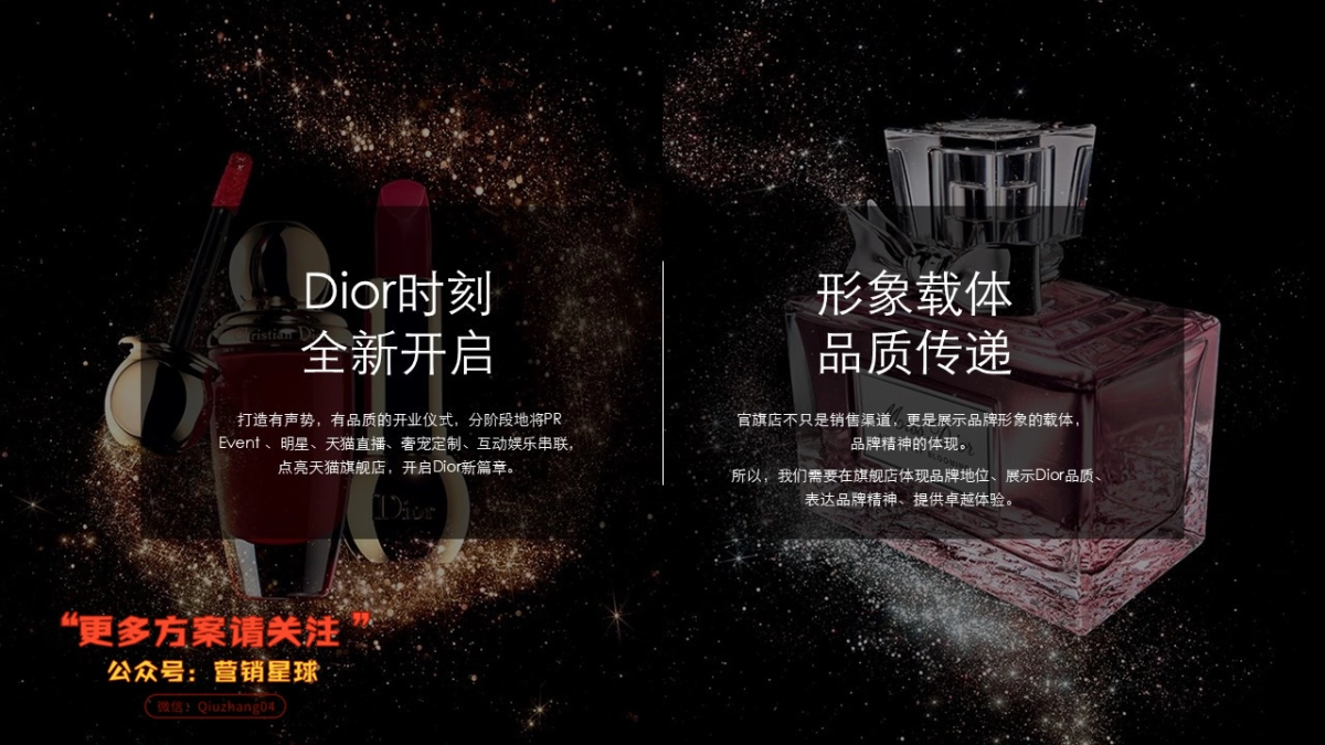 Dior官方旗舰店整合营销方案创意部分_第5页