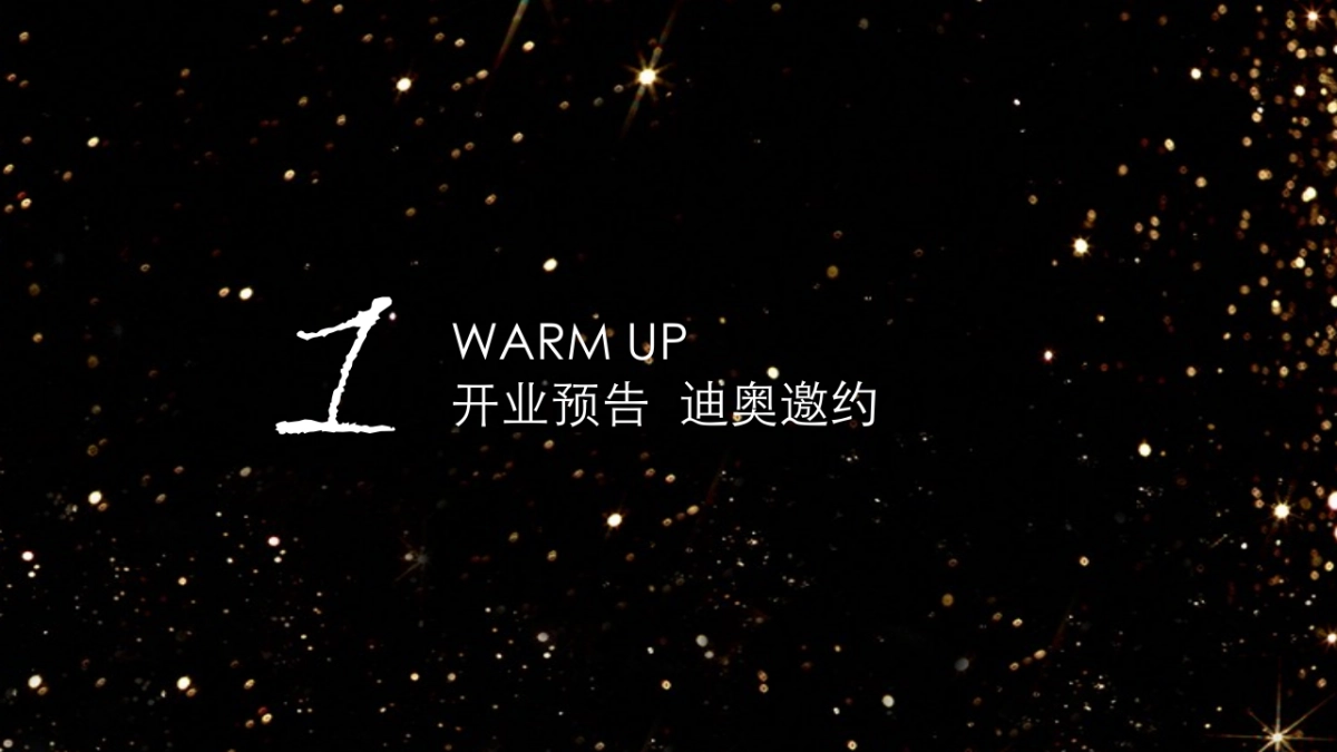 Dior官方旗舰店整合营销方案创意部分_第8页