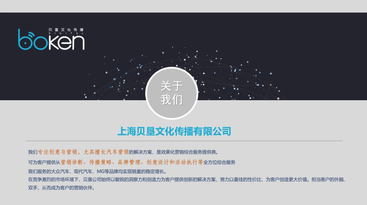 DS汽车官方天猫旗舰店运营方案_第3页