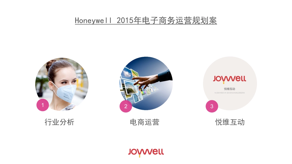 Honeywell电子商务运营规划案_第3页