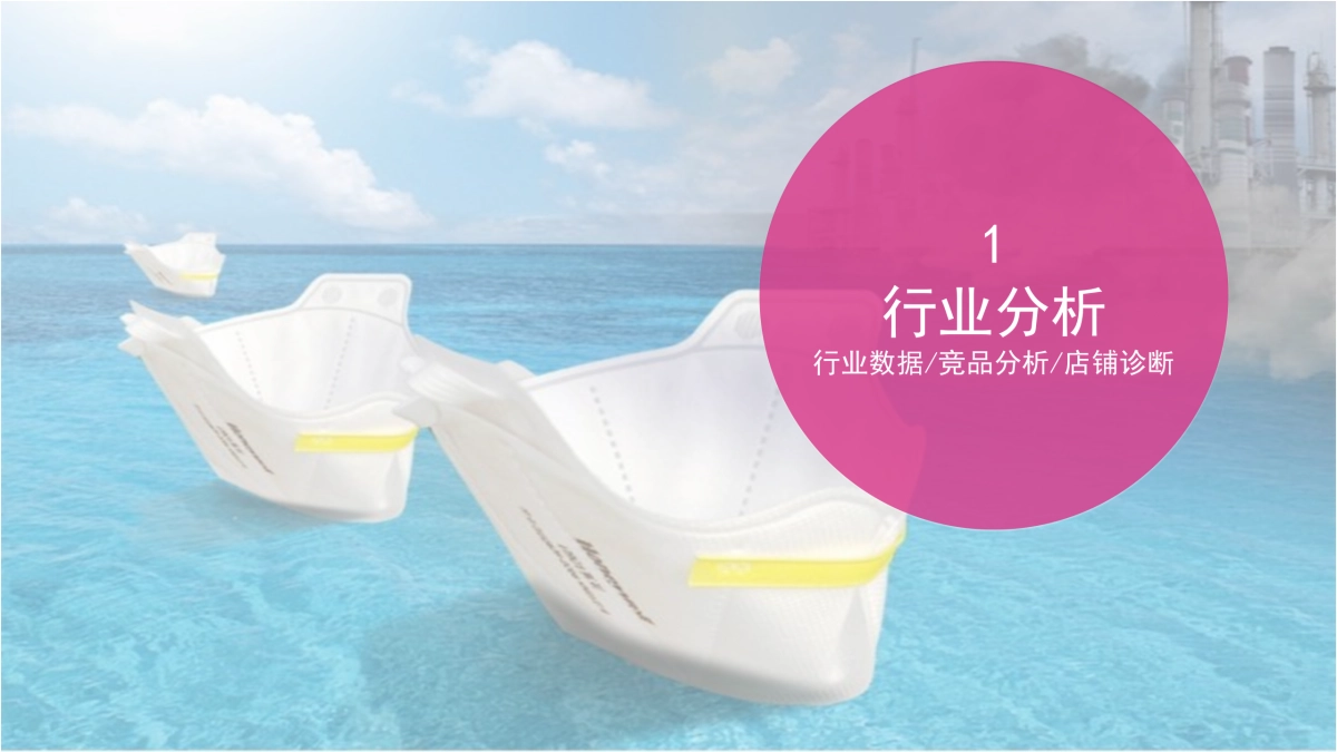 Honeywell电子商务运营规划案_第4页