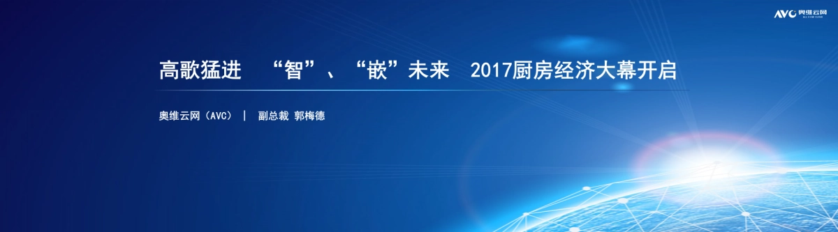 奥维定稿 2017年1-4月厨电电商表现 FOR 老板站台(0527)(3)_第2页
