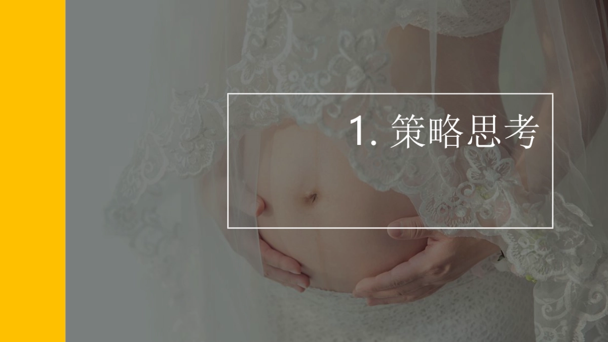 袋鼠妈妈天猫欢聚日营销策划方案_第3页