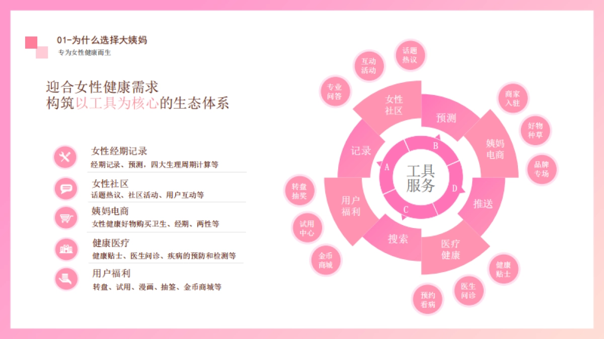 2021年大姨妈营销通案_第9页