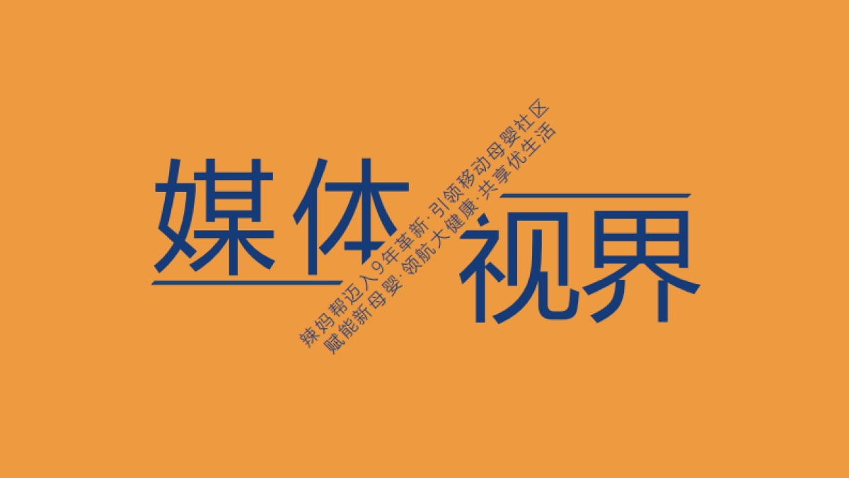 2021年辣妈帮媒体合作介绍20201126_第2页